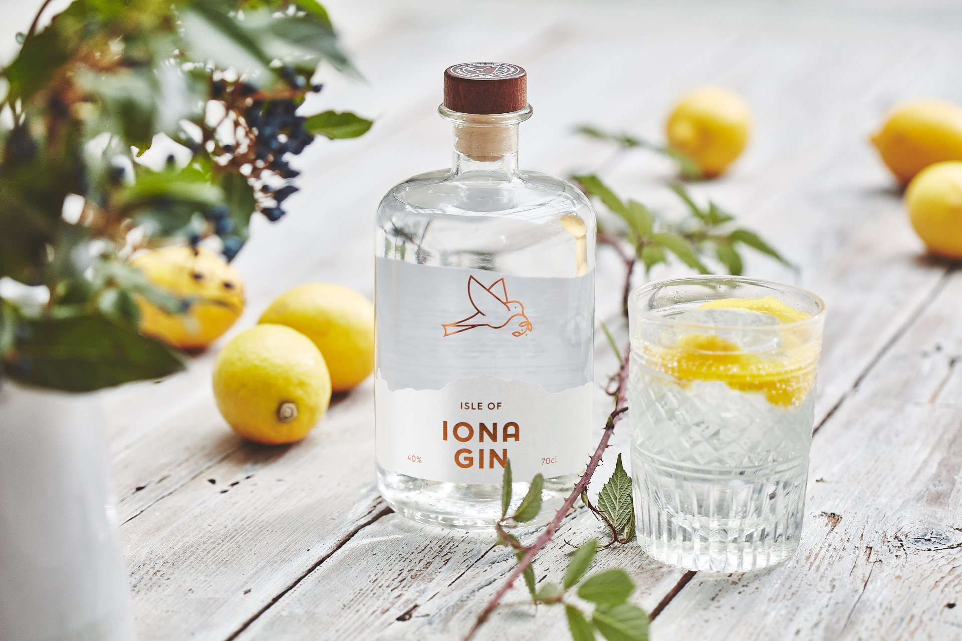 Brand and Packaging Design for Isle of Iona Gin by My Creative