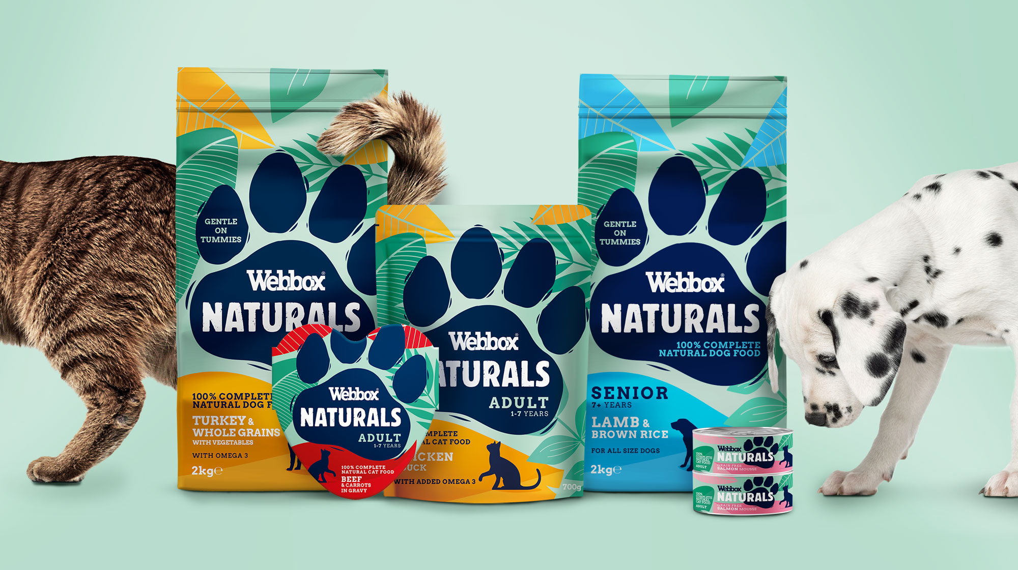 A Pawsome New Brand Identity And Packaging Design For 40 OFF