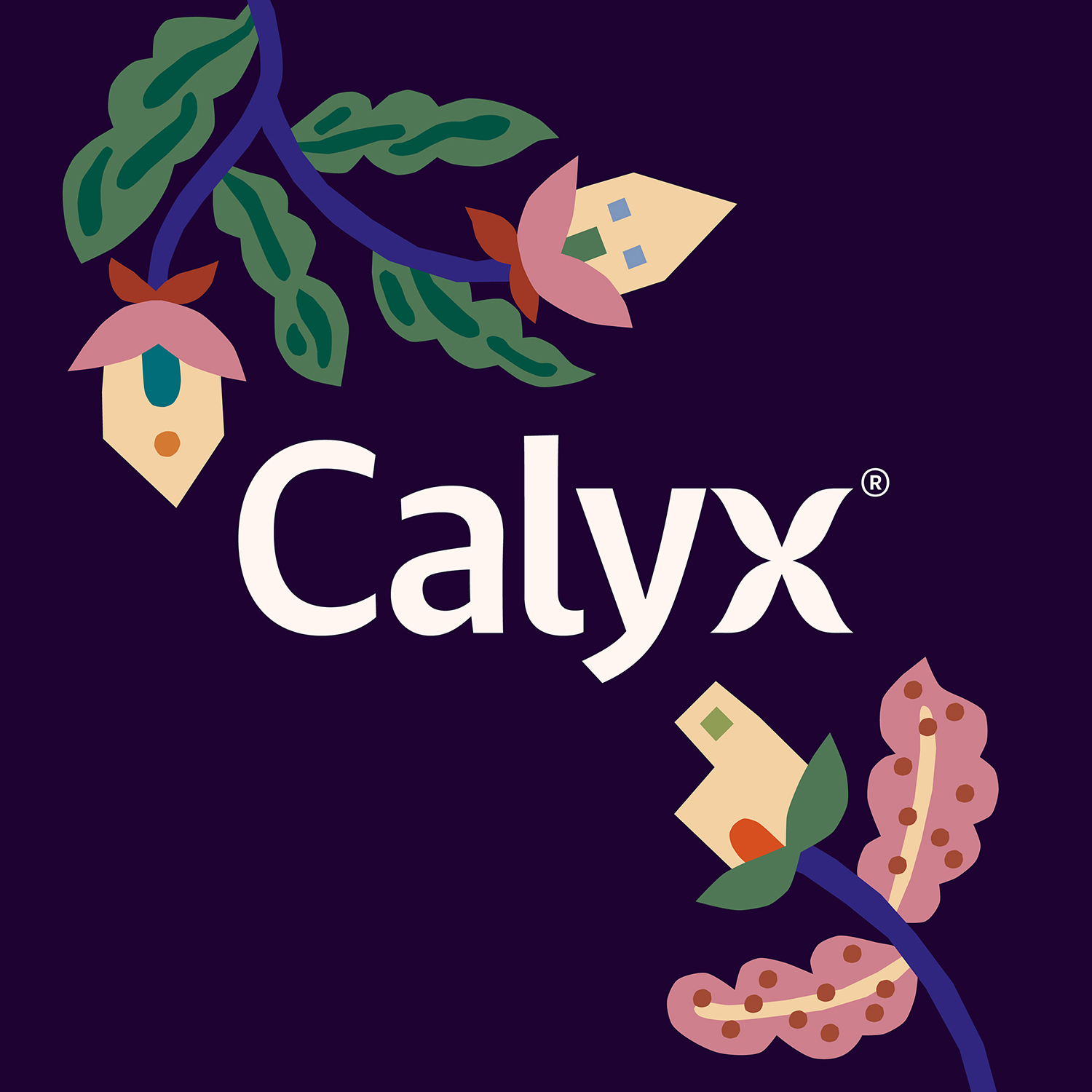 So Studio Designs Brand for Calyx in New York City