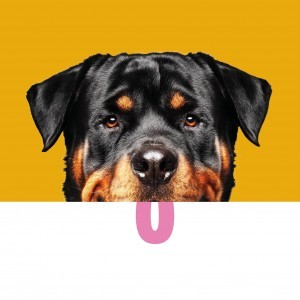Pencil Studio Design the Brand Identity for Dog Hotel and Day Spa