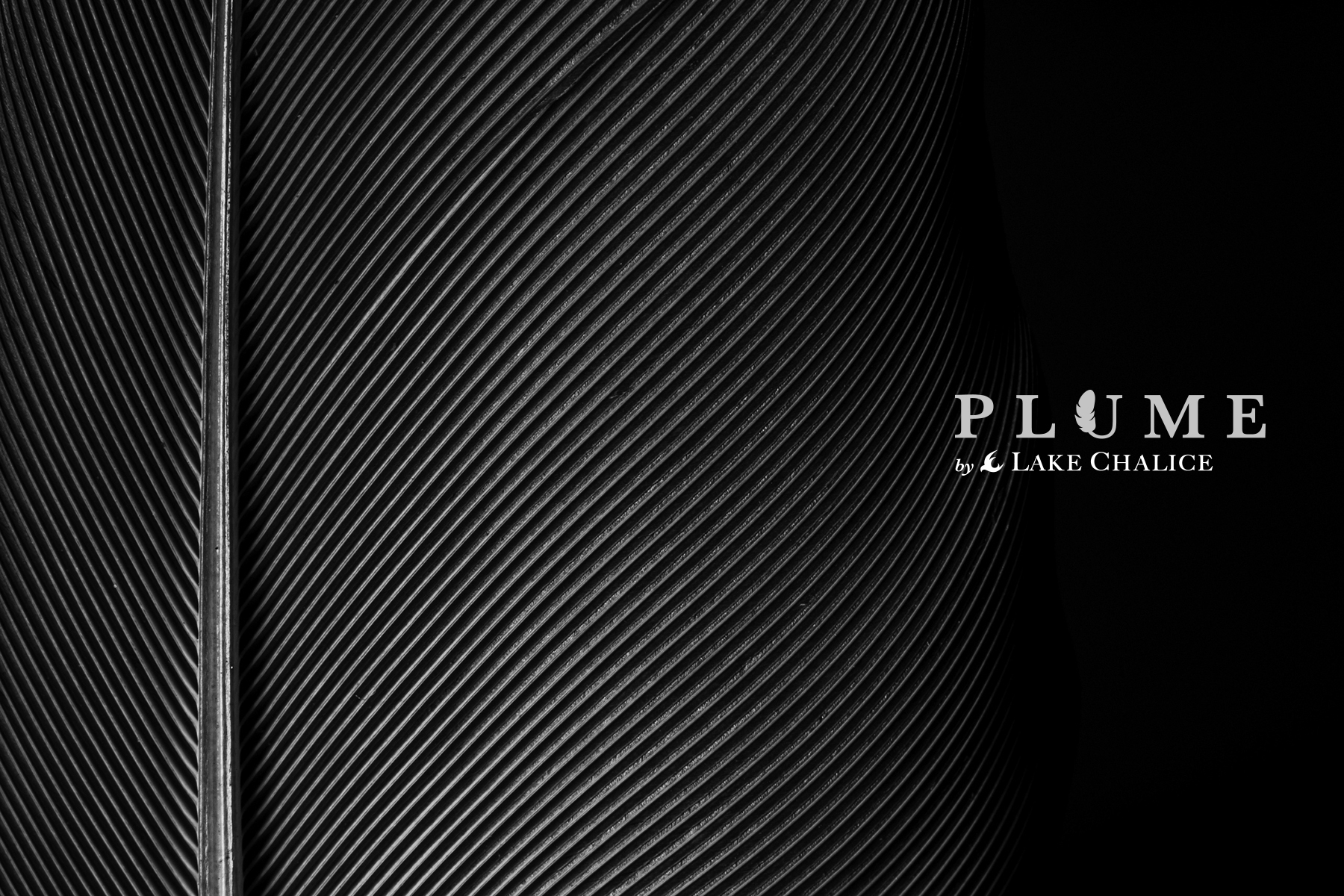 Plume Wine by Lack Chalice – Packaging Designed by The Creative Method