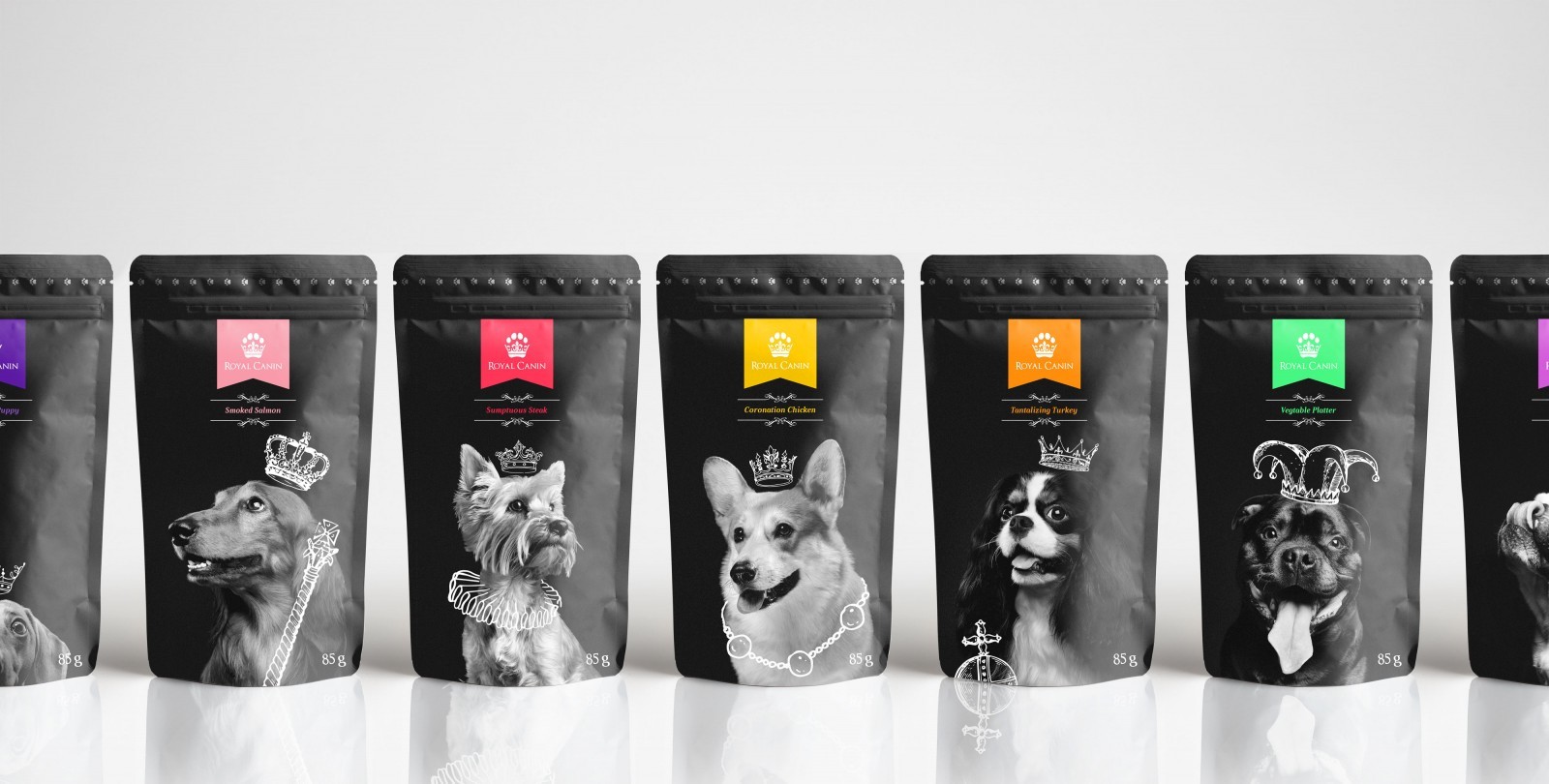 Redesign Concept for Royal Canin Pet Food Brand by Thomas Hardwick