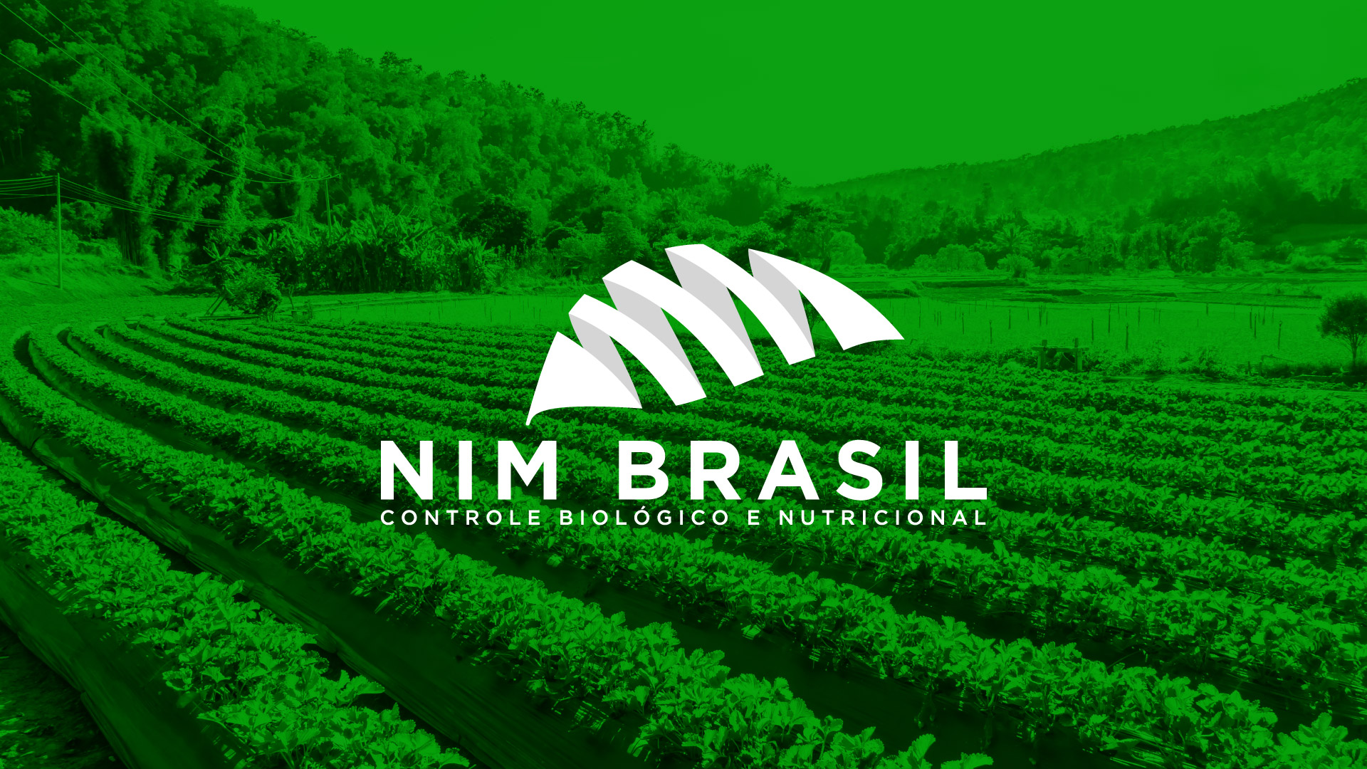 NIM Brasil Brand Redesign by Agência BUD