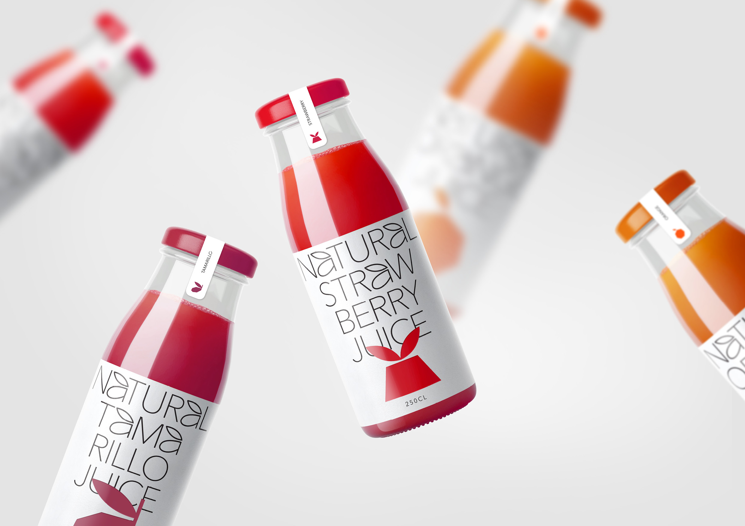 Natural Juice Packaging Design Student Concept by Tanya Dunaeva