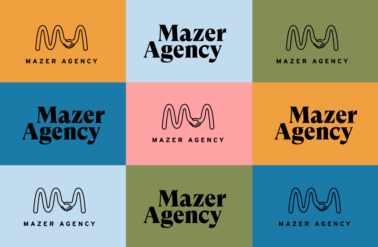 Shampoo Studio Brand Identity Design for Mazer Agency