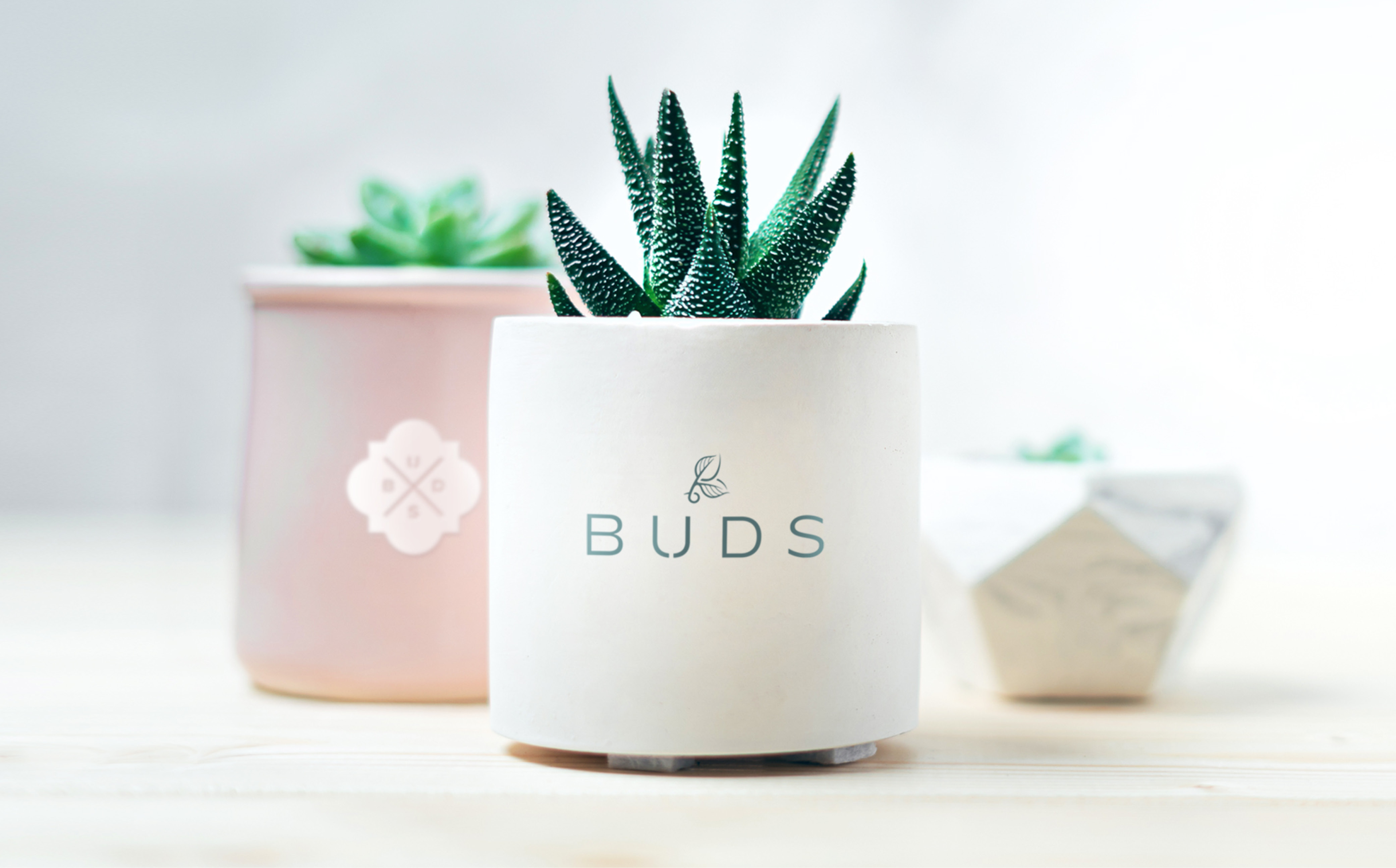Buds Plant Boutique Branding Designed by Lisa Gorham Creative