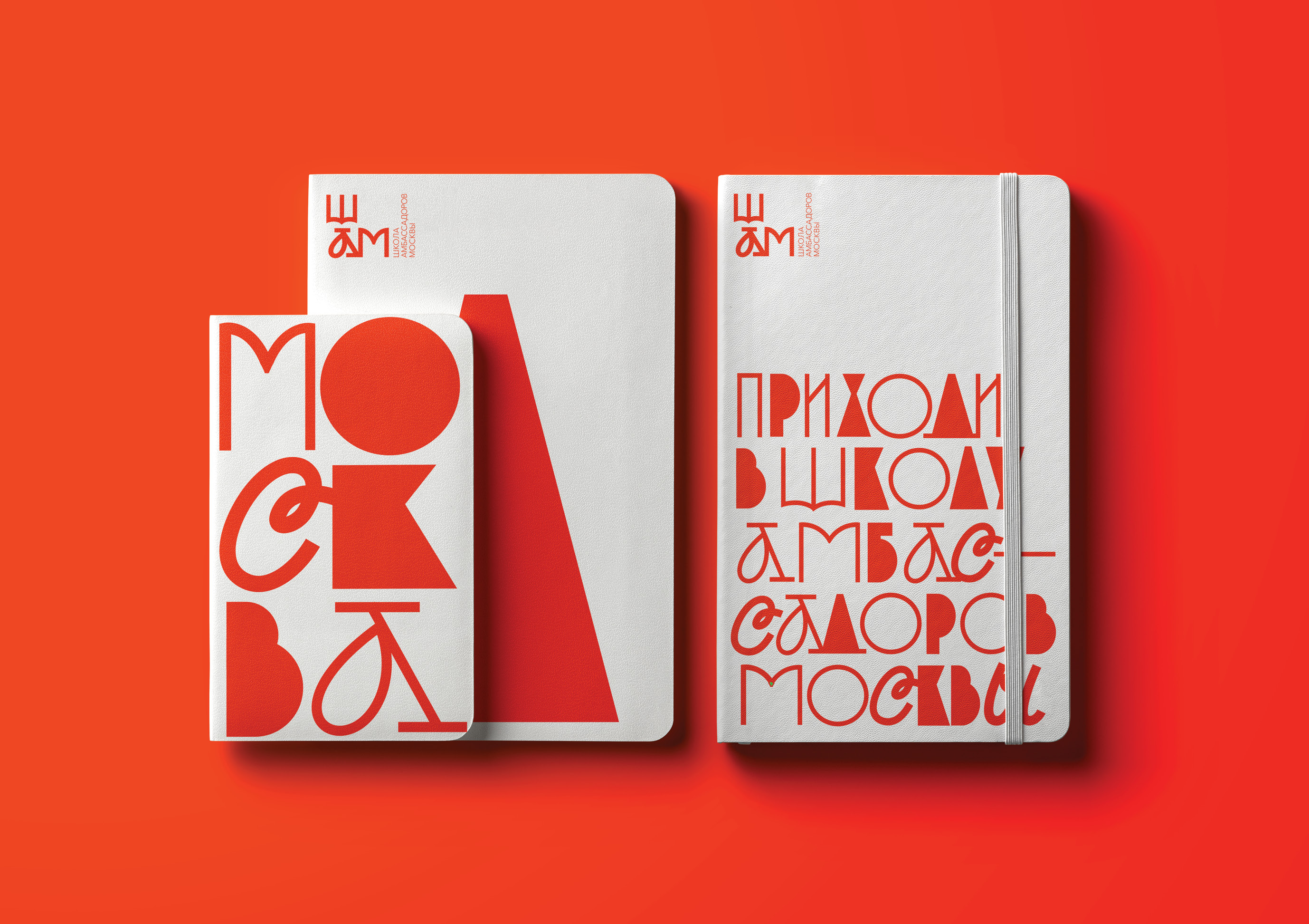 The School of Ambassadors of Moscow Branding Concept Design by Tanya Dunaeva