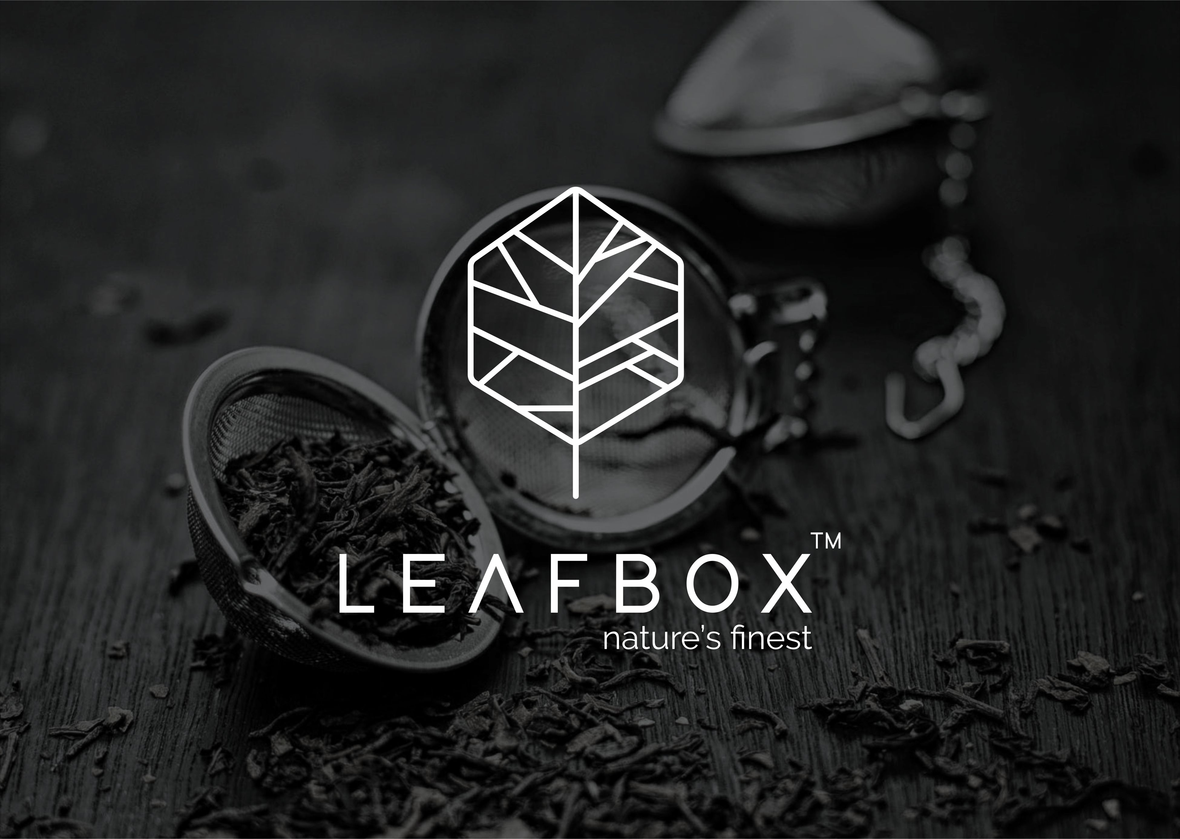 Leafbox Packaging a Perfect Blend of Design and Colour Aesthetics