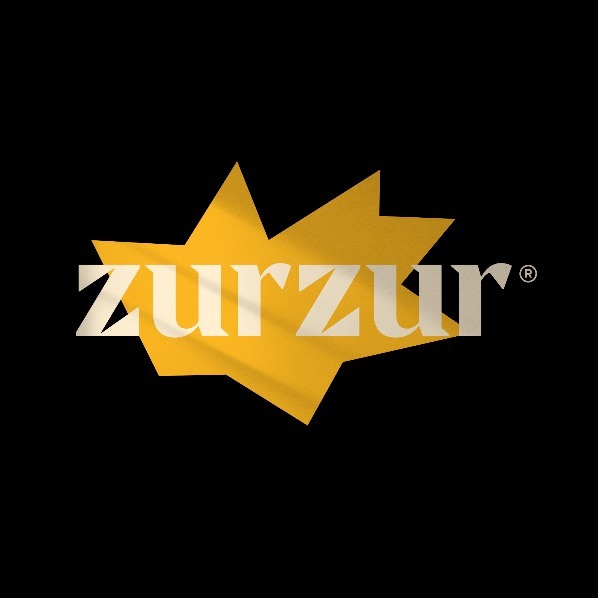 Zurzur Brand Identity Designed by Pape