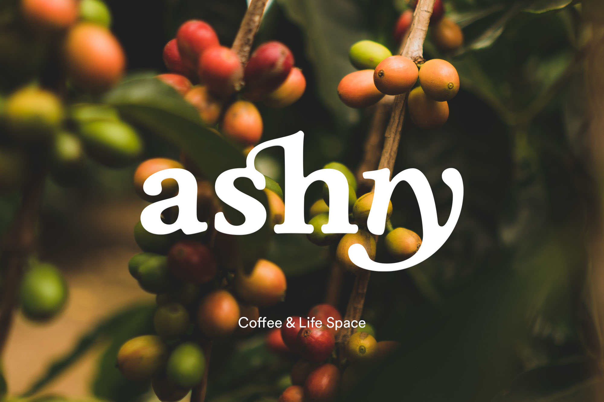 Widarto Creating Sustainable Brand Identity for Ashtry Coffee