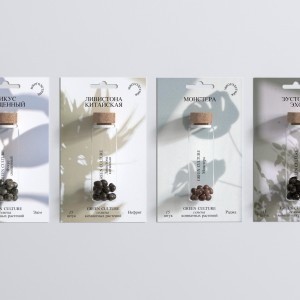 Green Culture Seed of Indoor Plants by Student Natalia Radnaeva