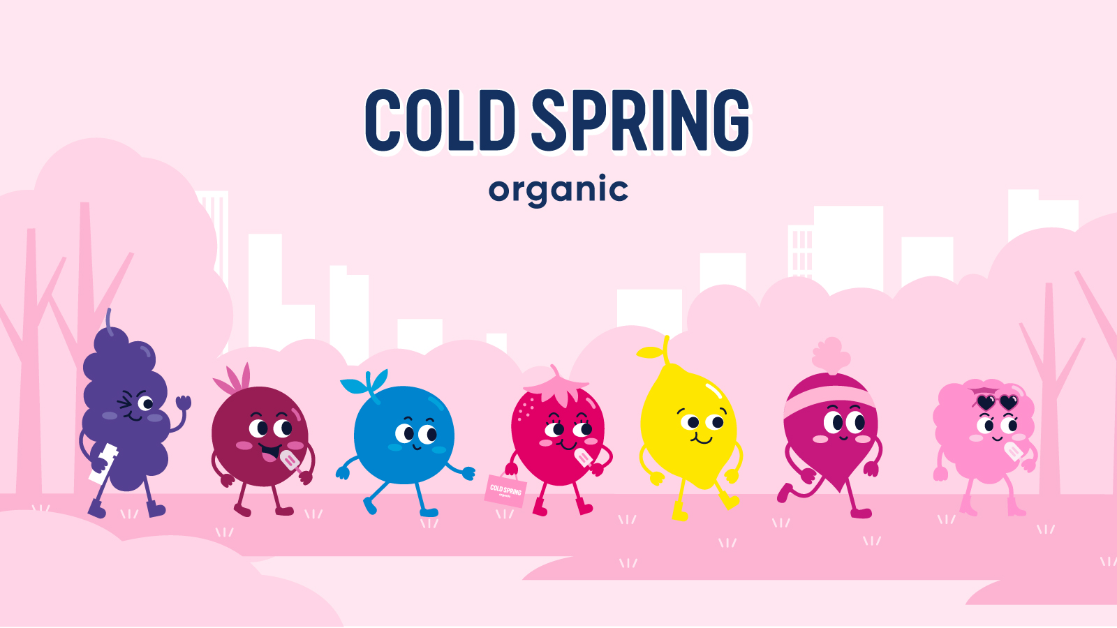 Cold Spring Organic Popsicle Brand Identity and Packaging Design