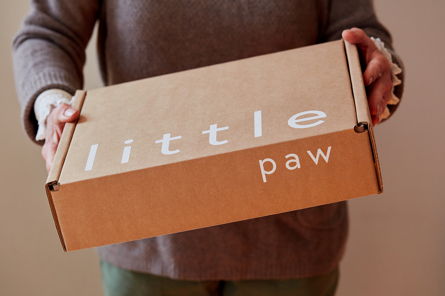 Almighty Creative Studio Create Branding and Packaging Design for Little Paw