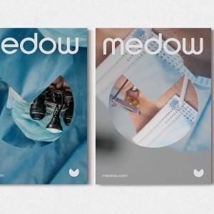 Medical and Healthcare Branding for Medow by Fable&Co.