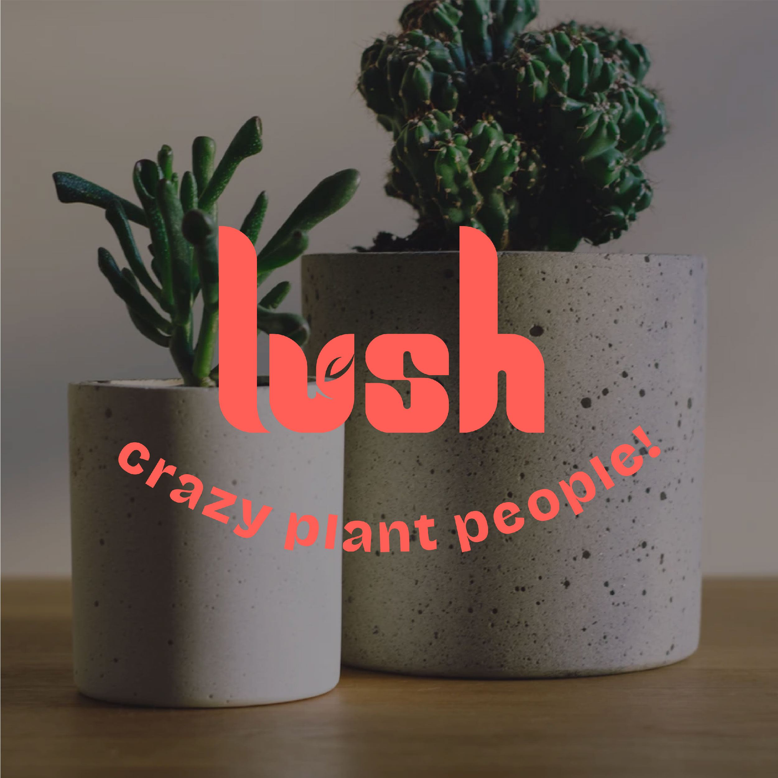 Lush Crazy Plant People Branding Designed by Aishwarya Agrawal