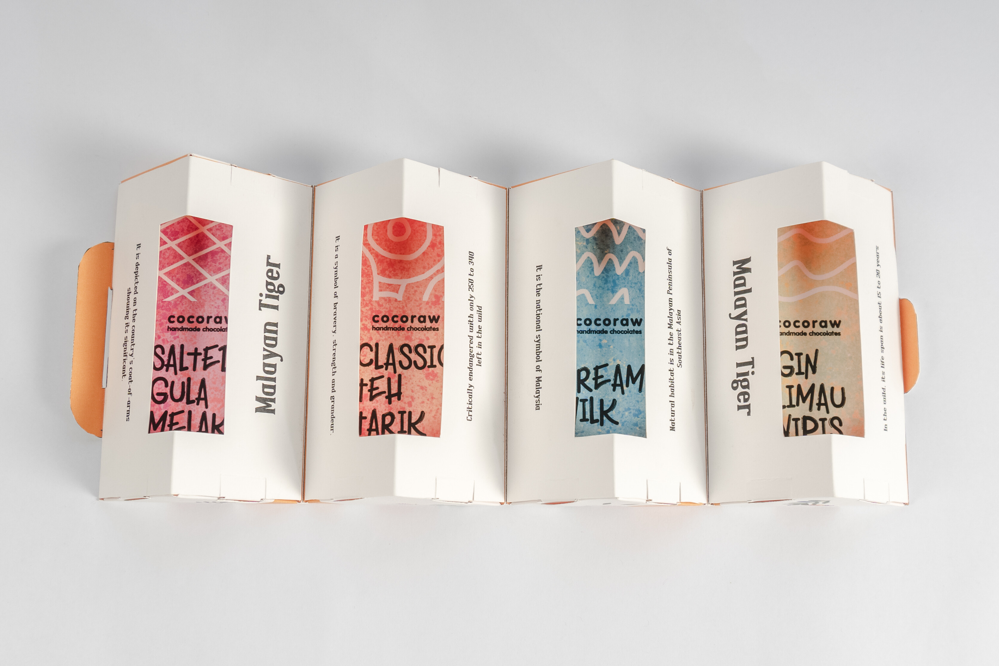 Cocoraw Chocolate Packaging Concept Design