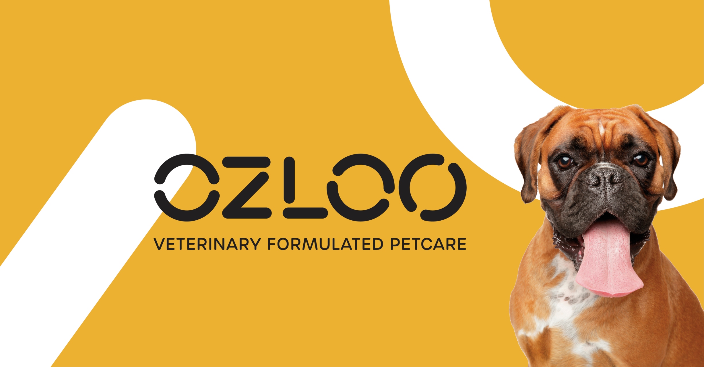 Ozloo – Creating a Premium Brand in a Market of Rapid Post-Pandemic Growth by IDna Group