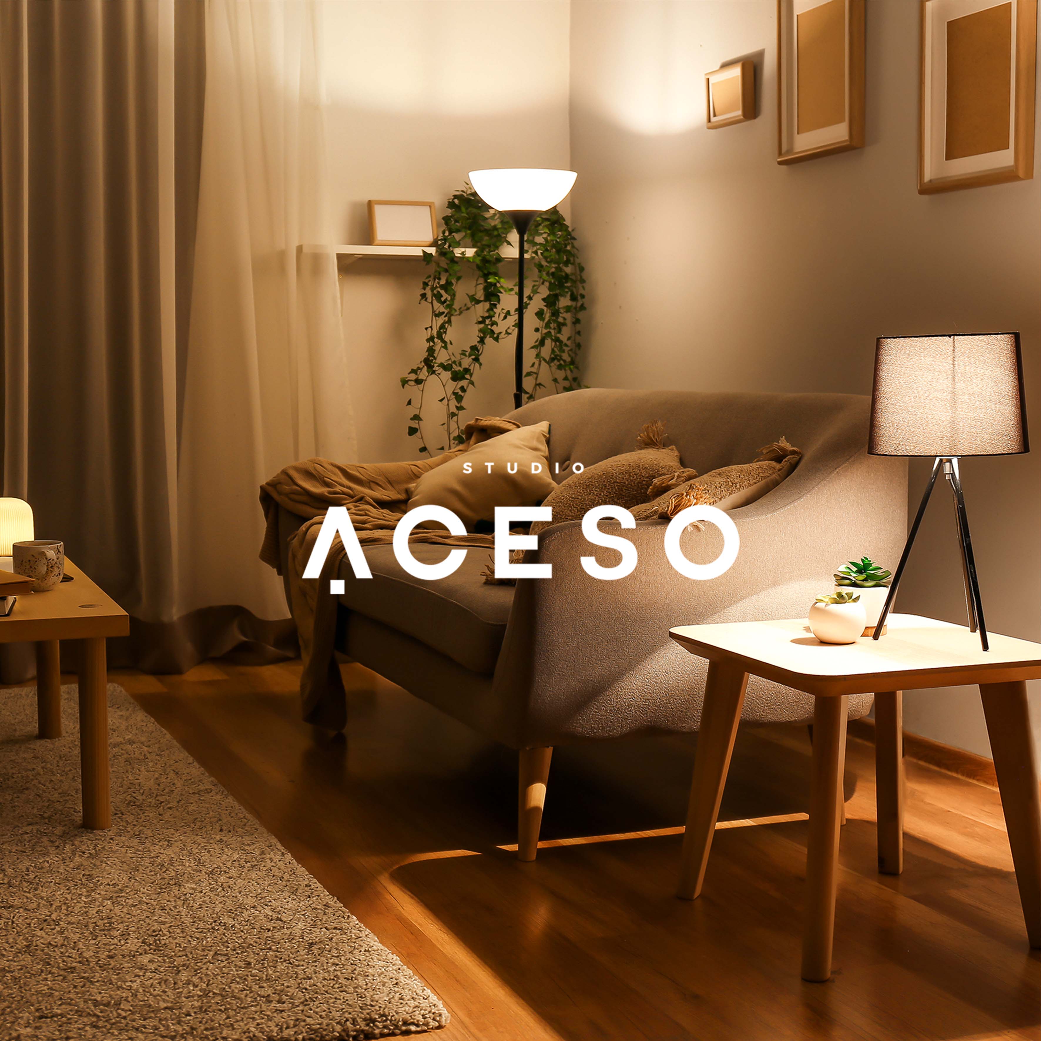 Studio Aceso Brand Design by Ale Brands