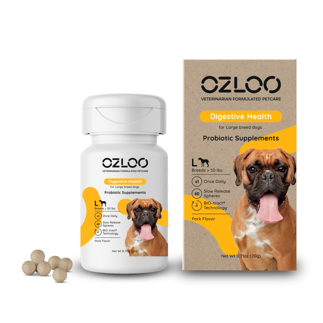 Ozloo Creating a Premium Brand in a Market of Rapid Post