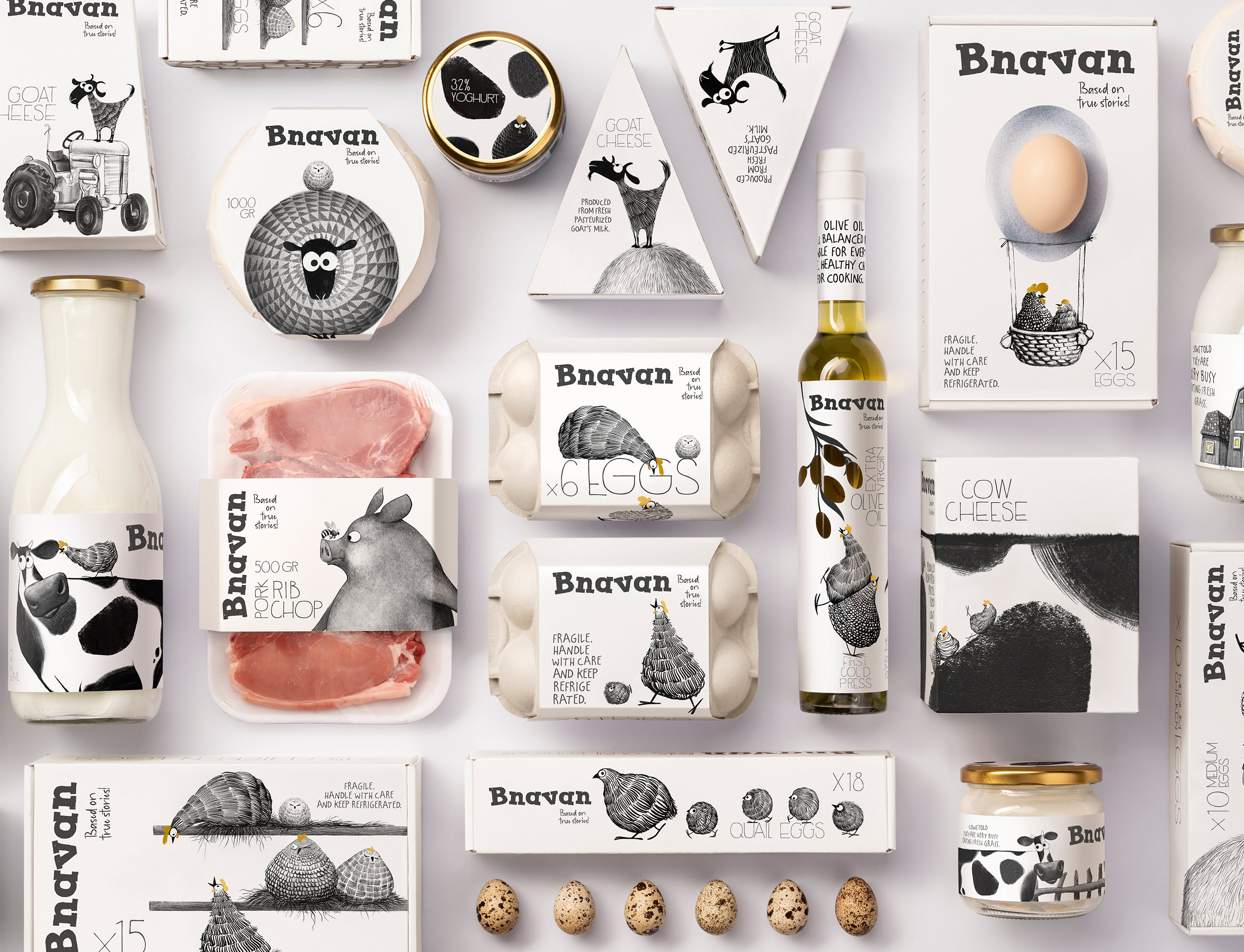 Backbone Branding Creates “Bnavan” Brand Identity and Packaging Design