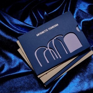 Antoinette Ferwerda Branding by Studio Sly