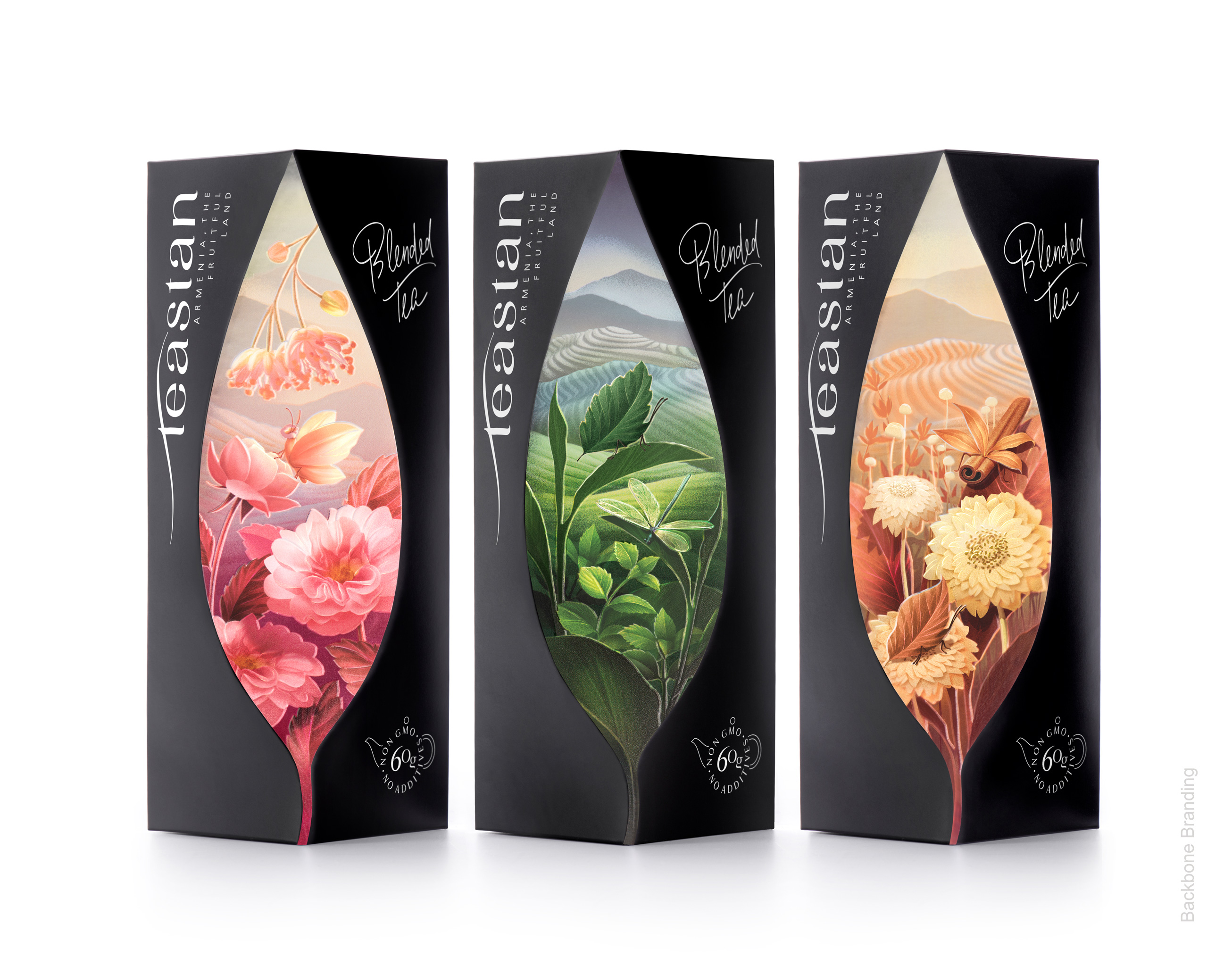 Backbone Branding Creates Packaging Design for Teastan Tea
