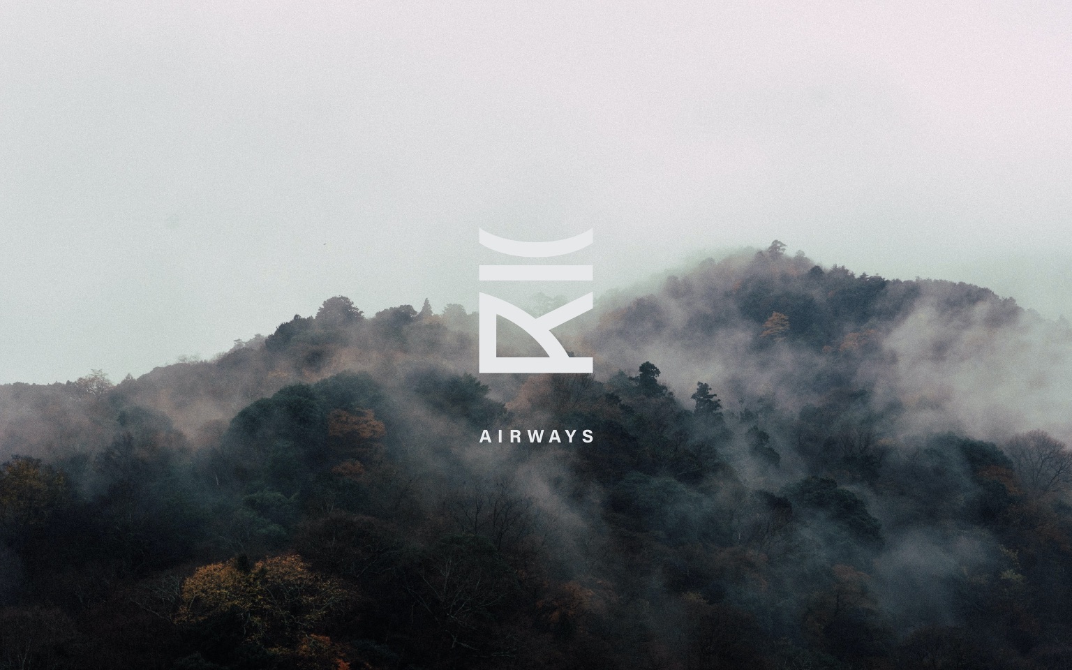 Brand Identity Concept for Rii Airline
