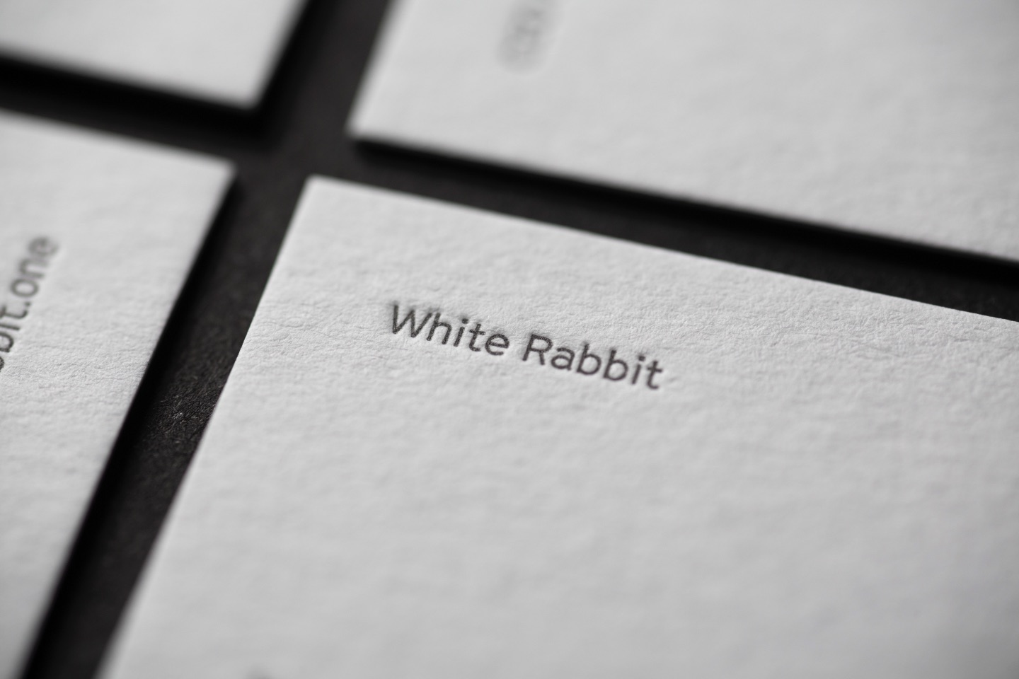 White Rabbit Brand Design Creation by Kind