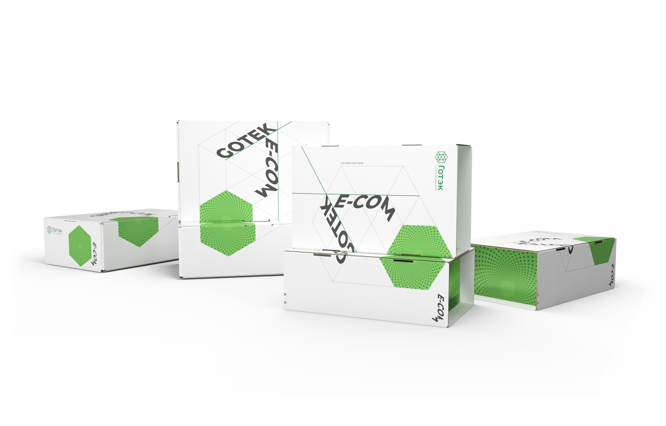 Fourth Dimension: Development of the Packaging Design Concept for “Gotek”