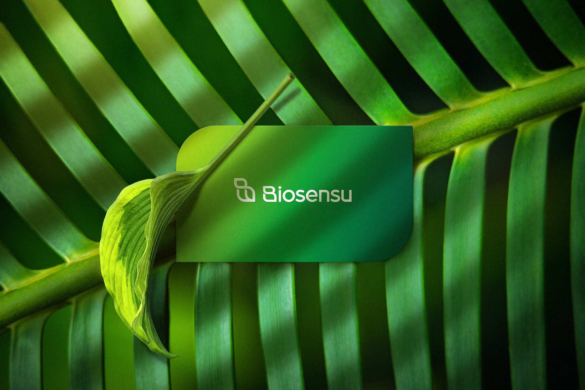 Brand Identity for Biosensu Designed by Lucas Coradi