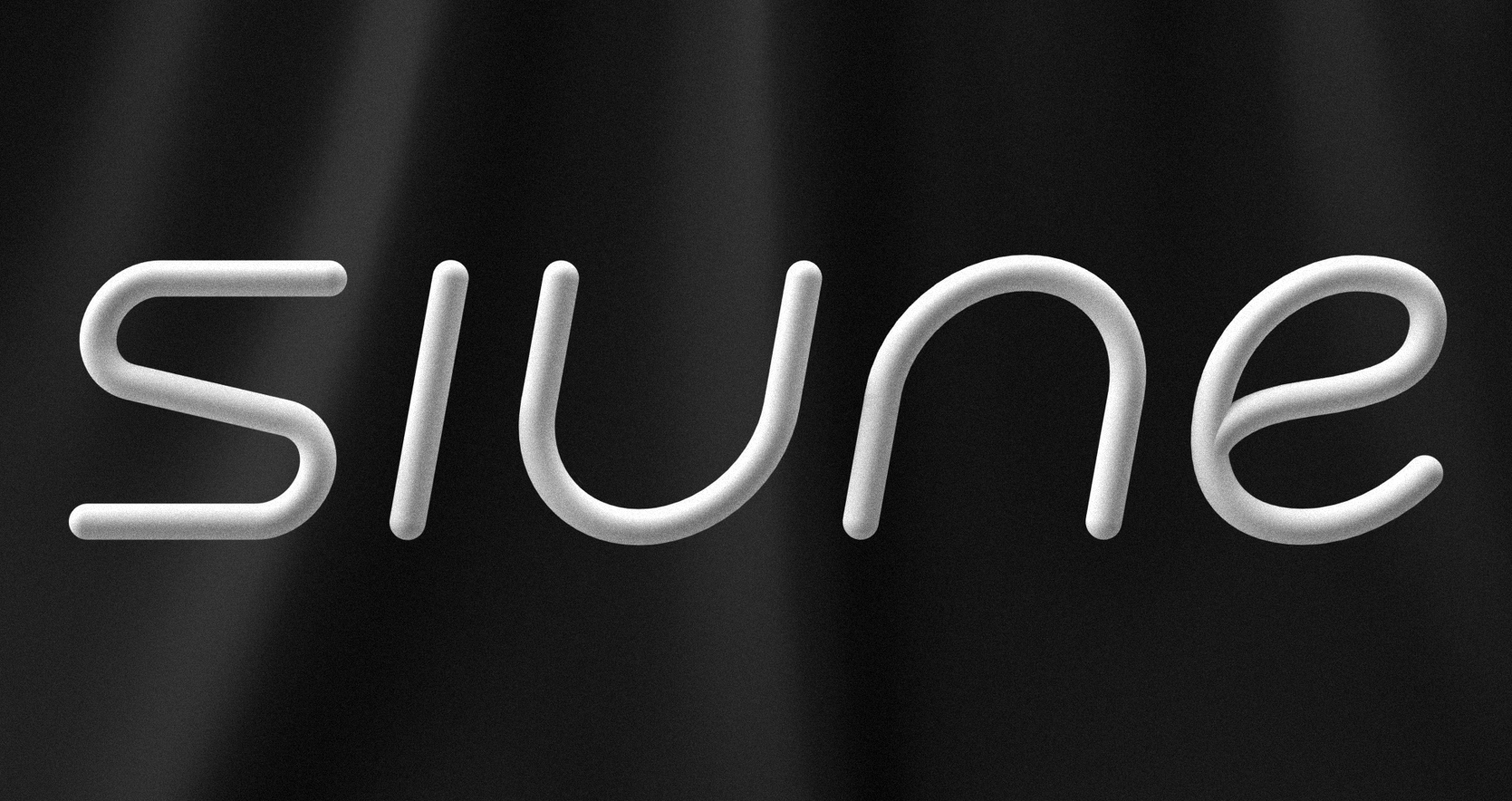 Lucas Guerra Studio Created the Branding for Siune