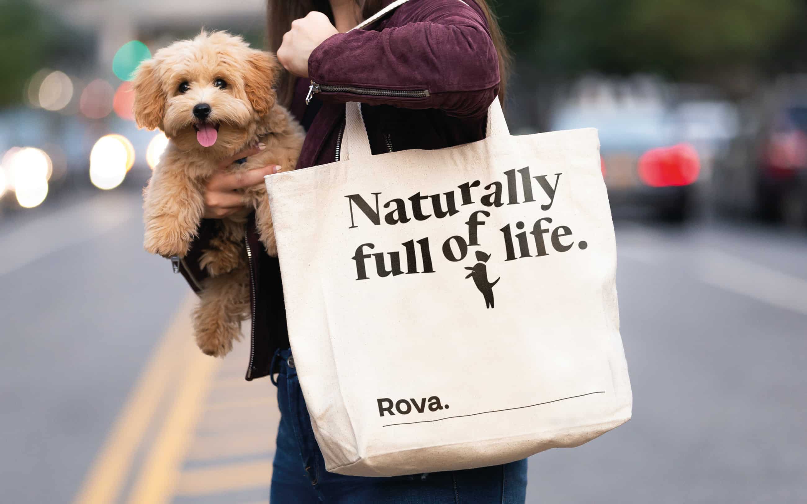 Counter Studio Adds Some Vavavoom to New Dog Wellness Brand Rova