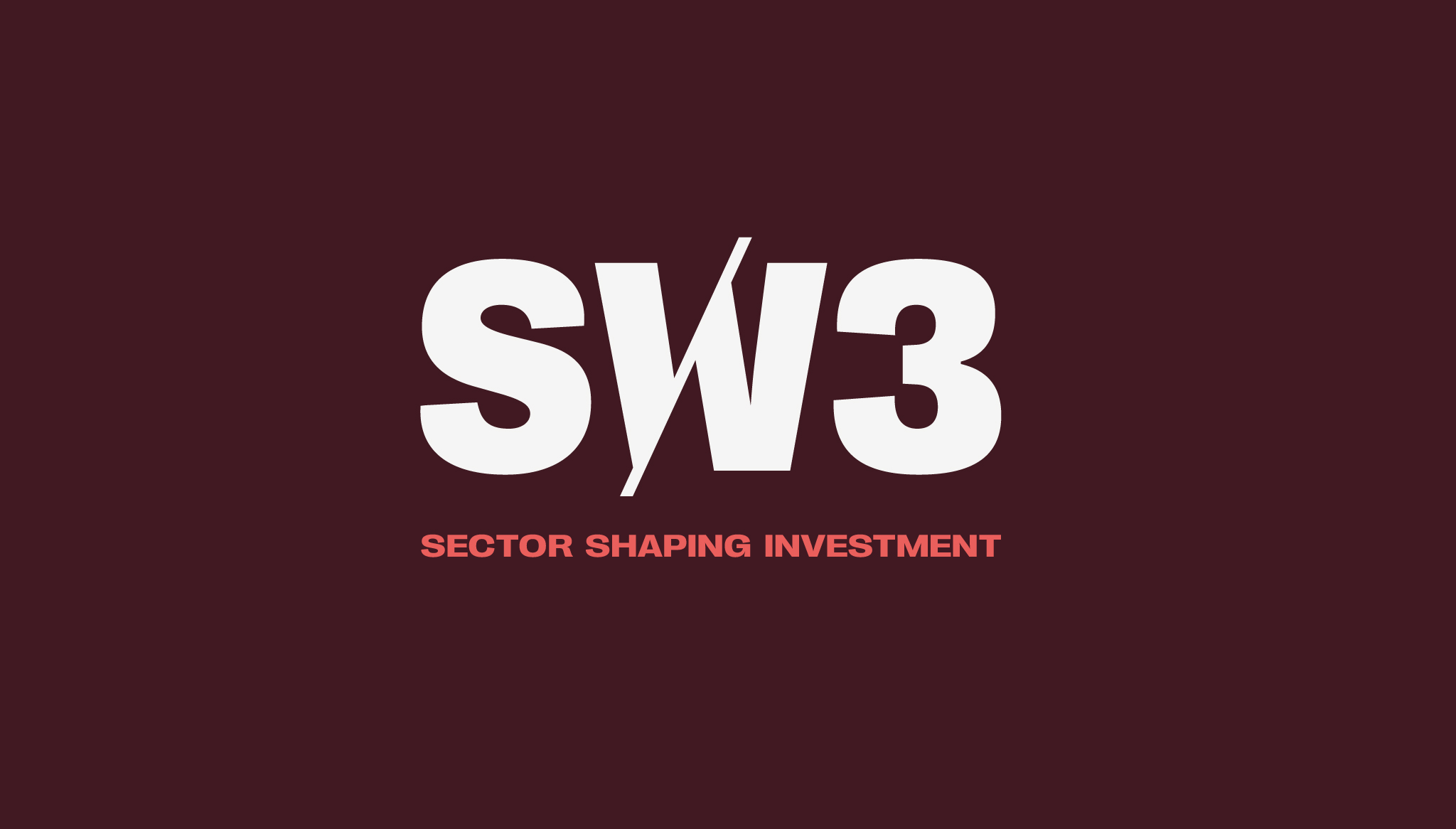 Sector-Shaping Investment for SW3 Capital by Rowdy Studio