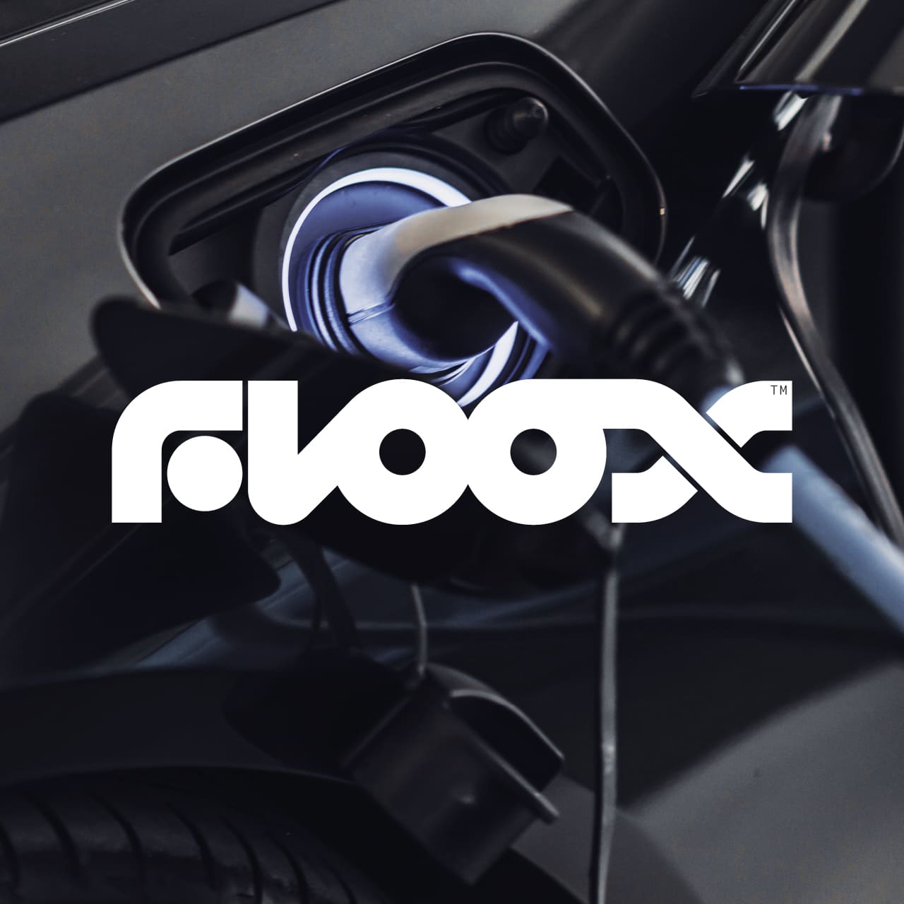 Floox Branding Designed by Toormix