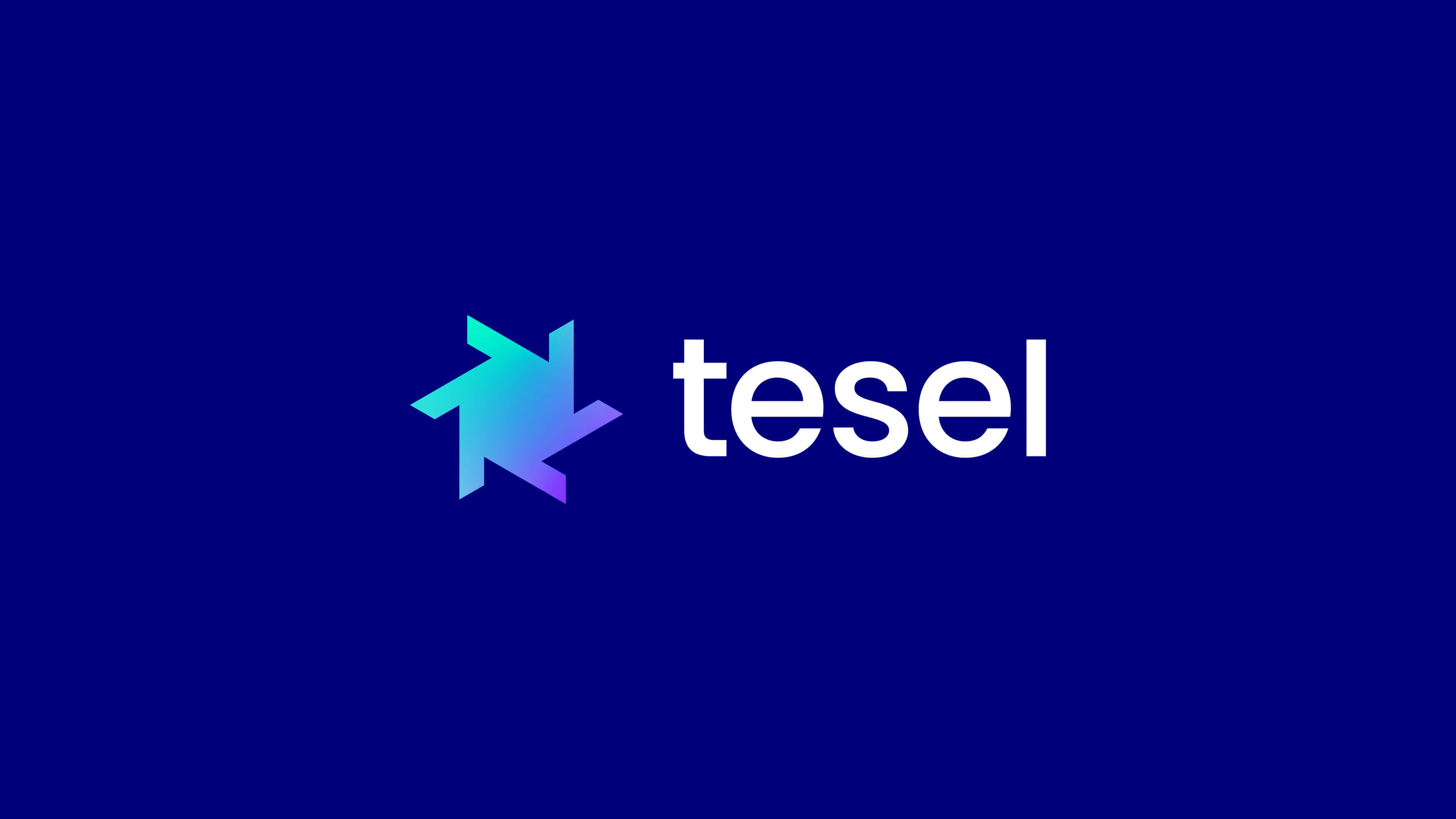 Deuce Studio Creates Brand Identity for ESG Matchmakers Tesel