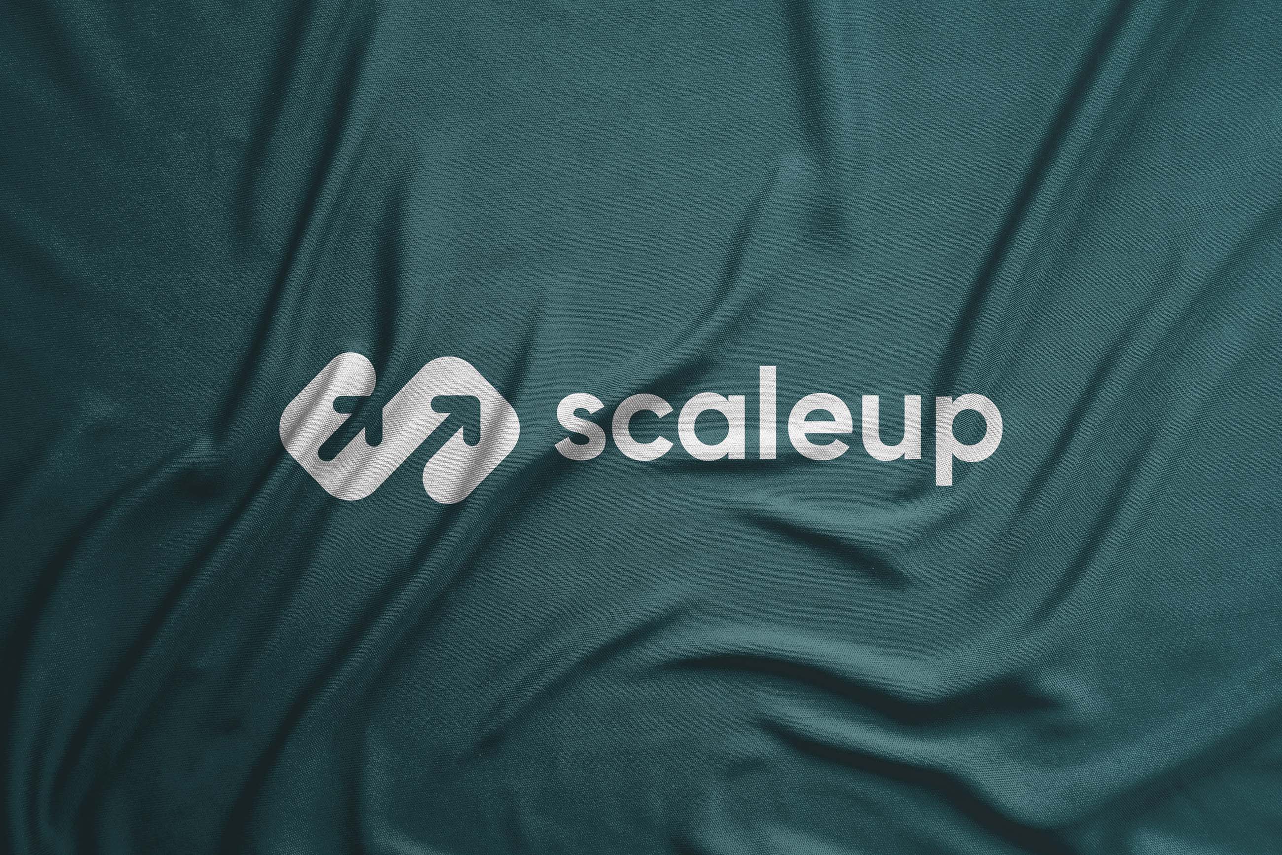 ScaleUp Brand Identity Designed by Sanjin Halilovic