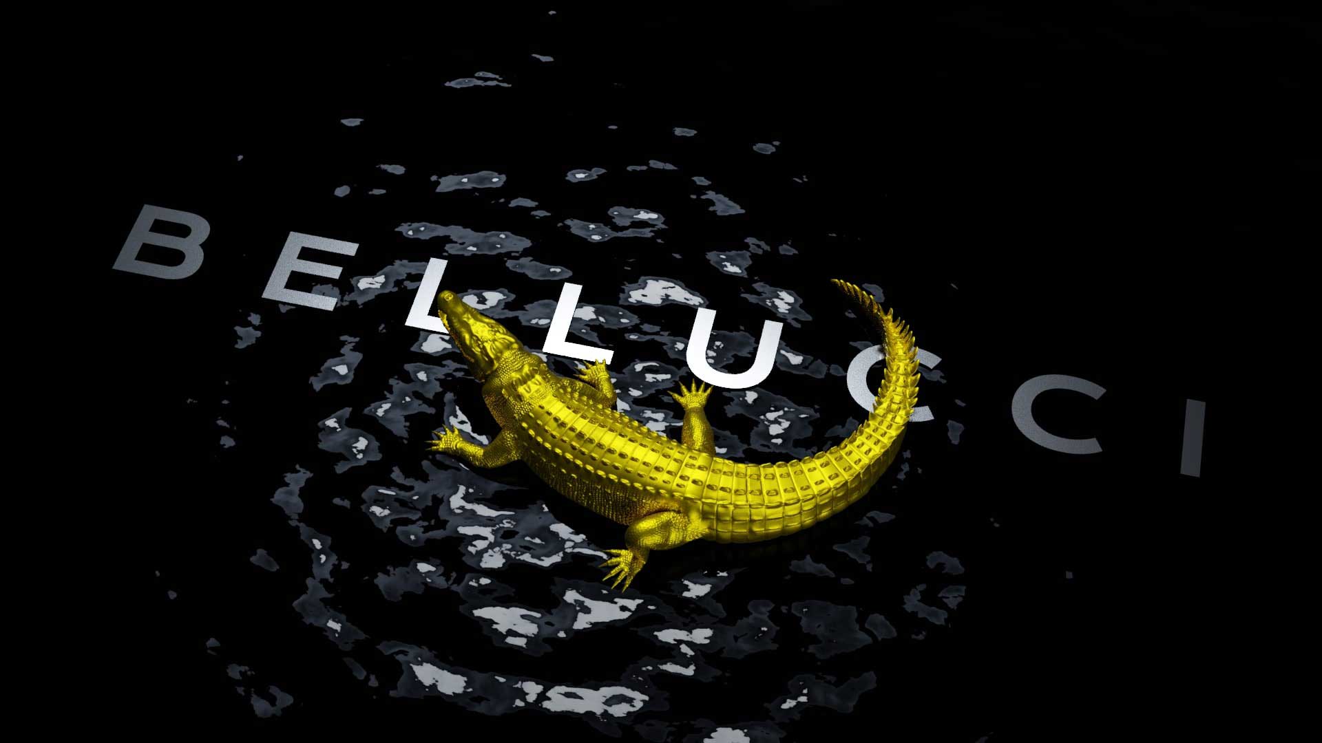 Branding and Visual Communications for Bellucci Italian Luxury Fashion Brand