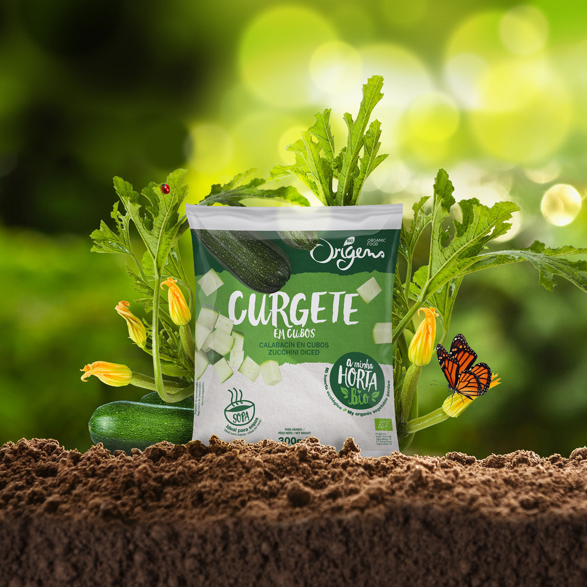 My Organic Vegetable Garden Origens Bio Brand and Packaging Design by Equanto