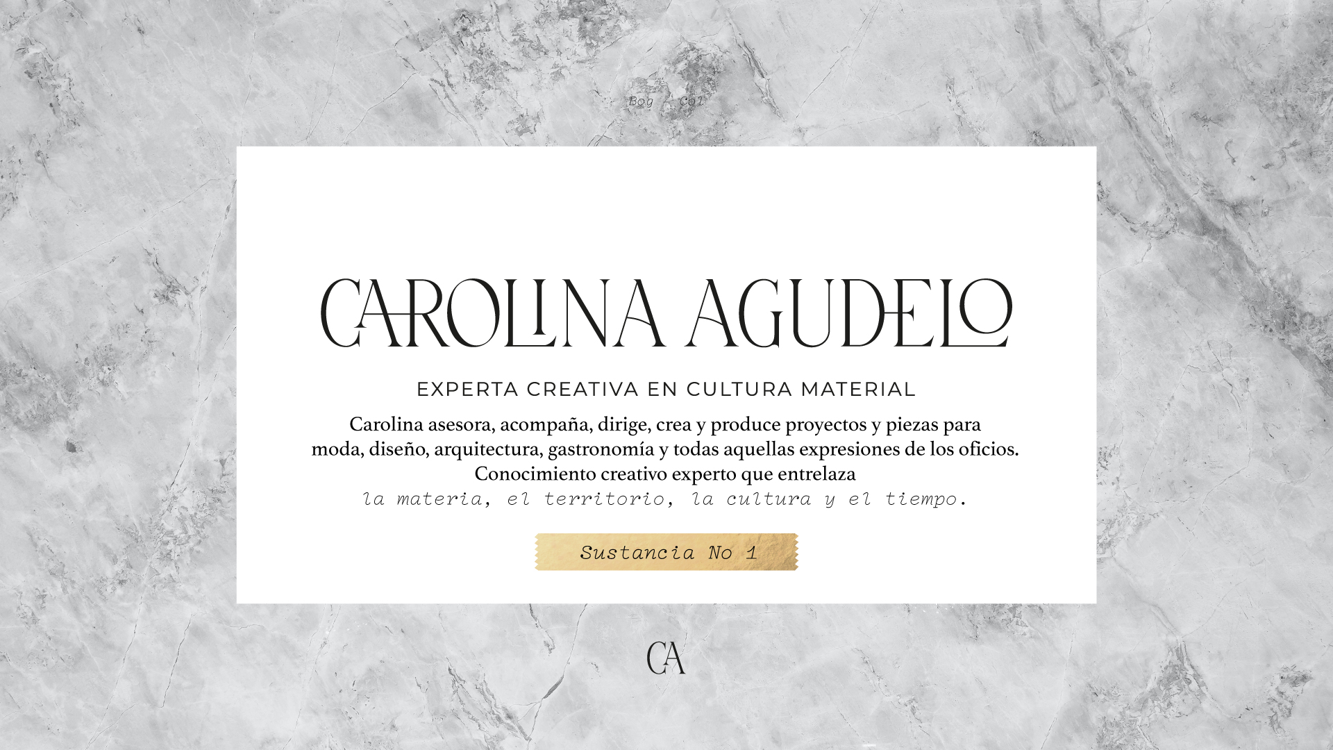 Brand Identity for Carolina Agudelo Fashion