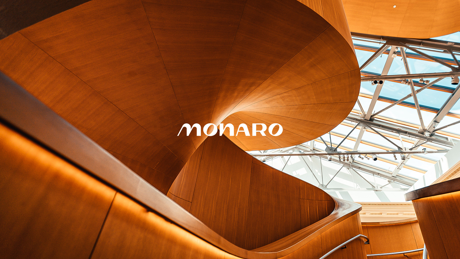 Naming and Visual Identity For Monaro By Caio Costa