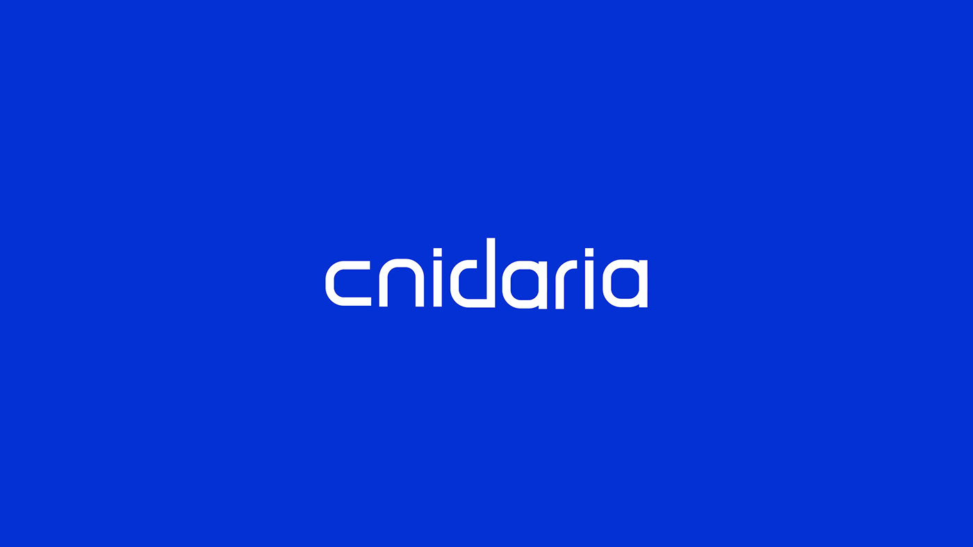 Cnidaria Brand Identity by Musahib