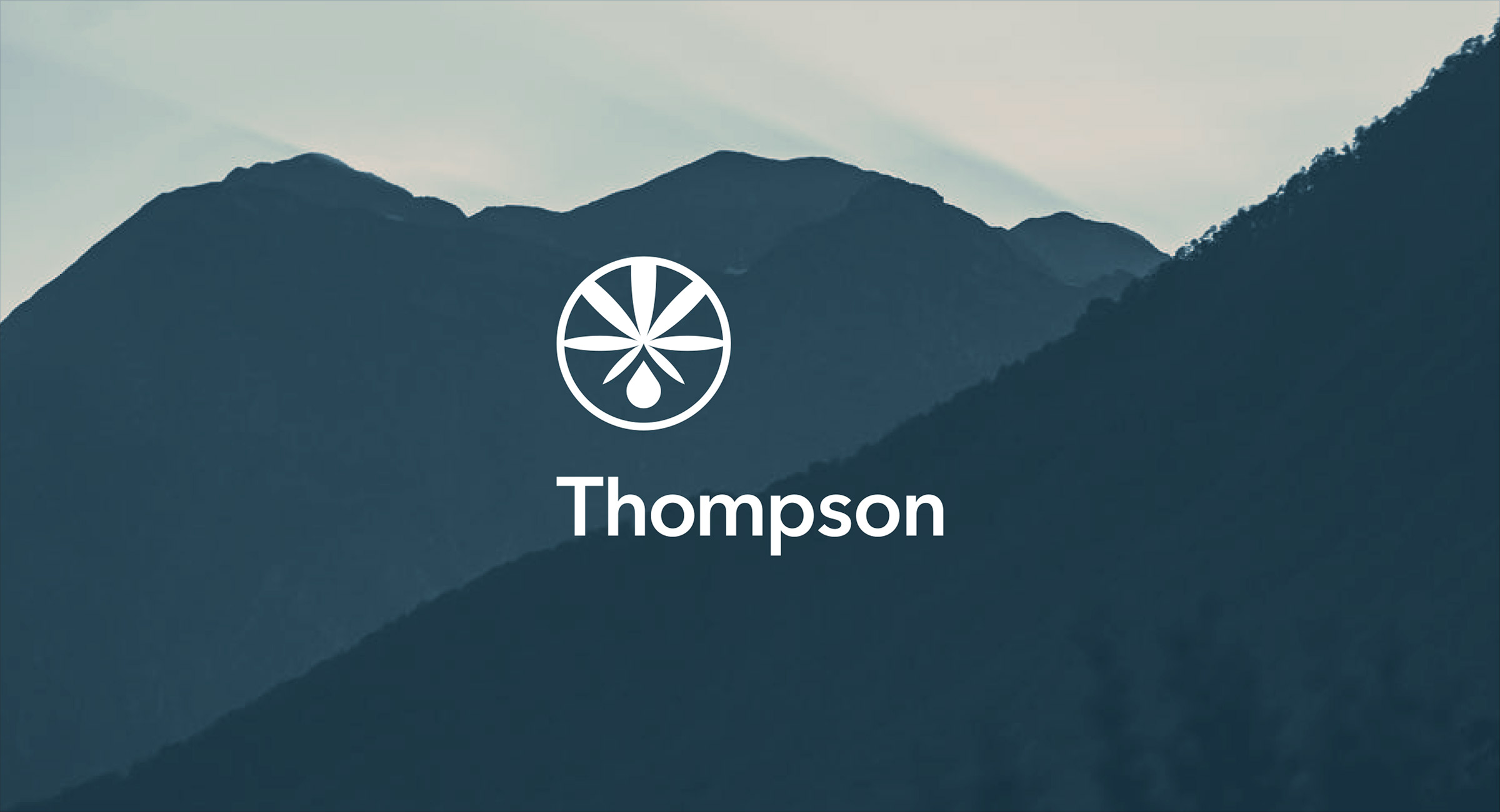 Branding for Thompson Liquid Dietary Supplement