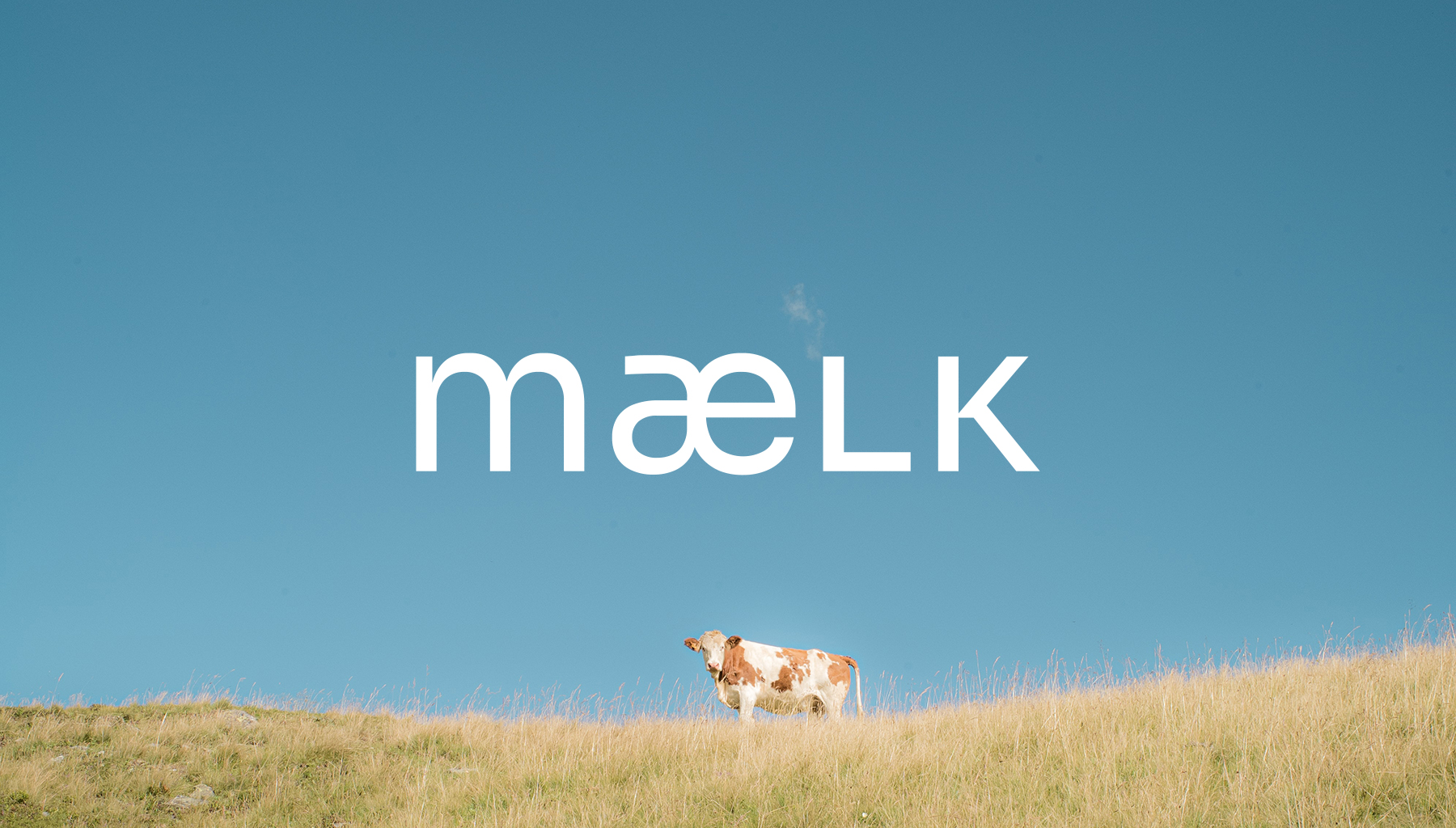 Mælk Conceptual Milk Product Branding