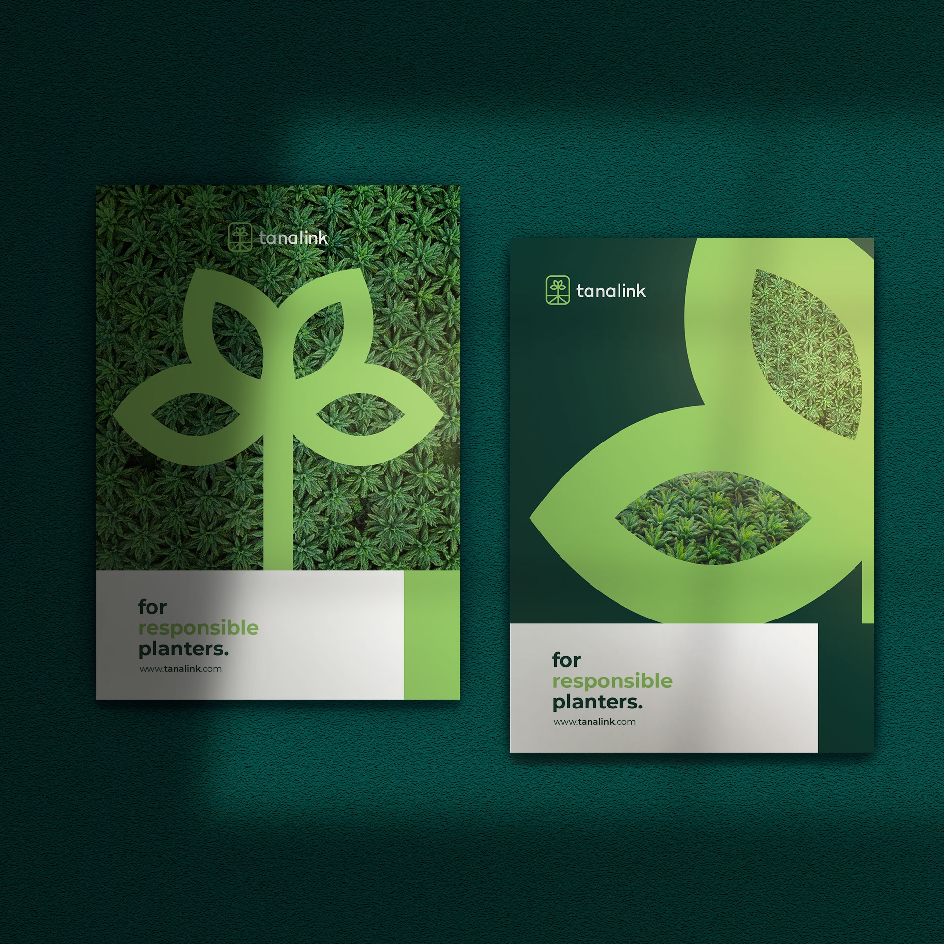 Tanalink Tropical Plantations Brand Identity