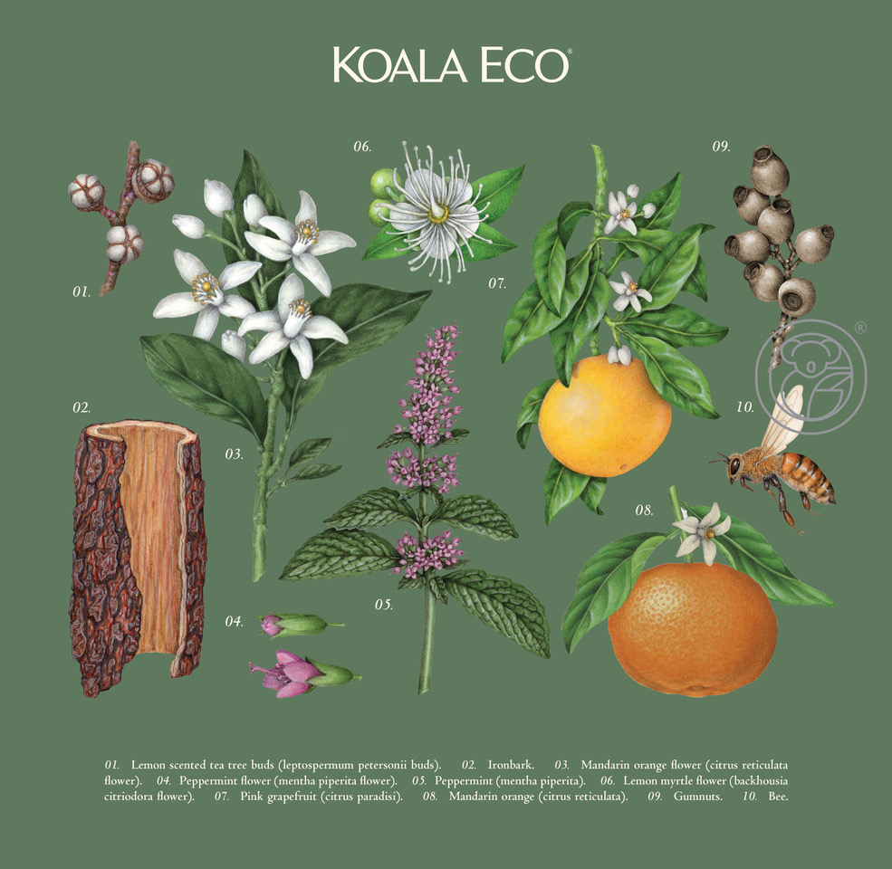 Koala Eco's Holiday Gift Boxes Are Adorned With Botanical Illustrations  That Make For An Enchanting And Uplifting Gift - World Brand Design Society