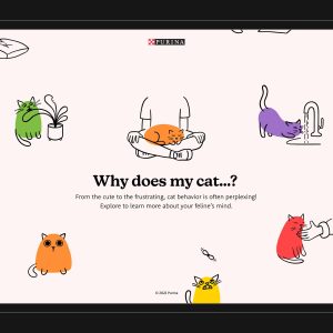 Why Does My Cat…? Student Digital Design Creation