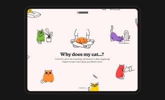 Why Does My Cat…? Student Digital Design Creation