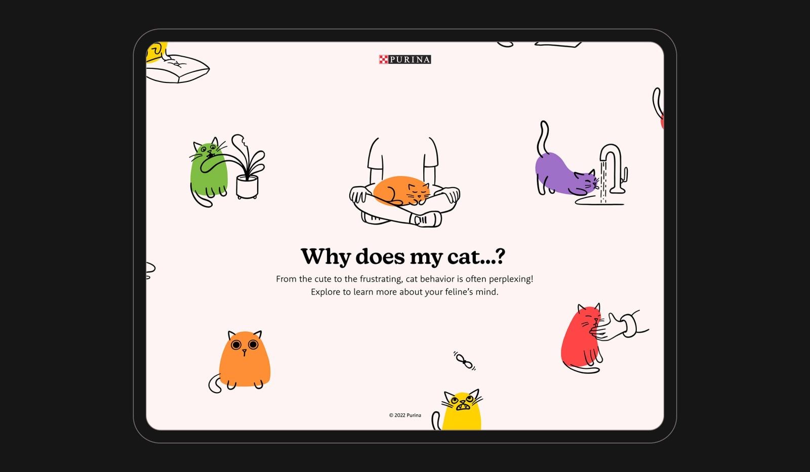 Why Does My Cat…? Student Digital Design Creation