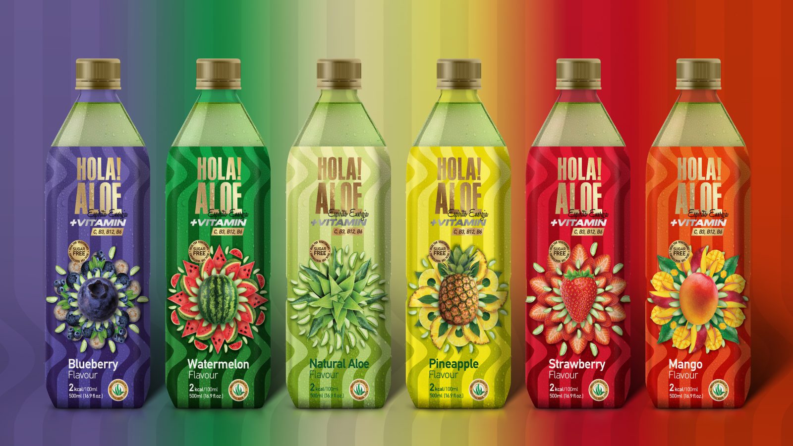 Hola Aloe +Vitamin Packaging Design