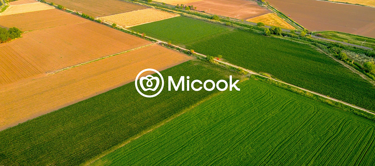 Micook Stock Company Rebrand